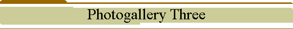 Photogallery Three